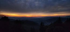 Fotografie z fotogalerie ubytování The Hill Paradise v destinaci Almora
