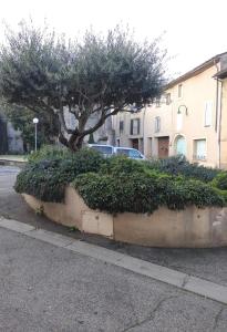 a tree in a concrete planter on the side of a street at Studio Gite Mondragon (Vaucluse) in Mondragon