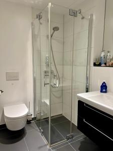 a bathroom with a shower and a toilet and a sink at Exklusives Apartment mit einmaligem Blick zur Frauenkirche - Parkplatz kostenfrei in Dresden