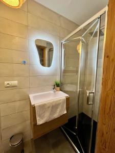 a bathroom with a sink and a shower at Leva des neiges in Lanslevillard