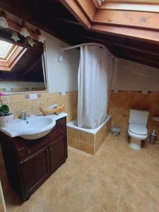 a bathroom with a sink and a shower and a toilet at El Portal del Abuelo in Arenas de Cabrales