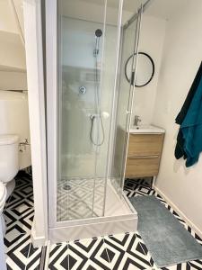a bathroom with a shower and a toilet at Studio La Petite Montagne in Quimper