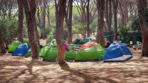 un gruppo di tende in una foresta con alberi di Gitavillage Le Marze a Marina di Grosseto