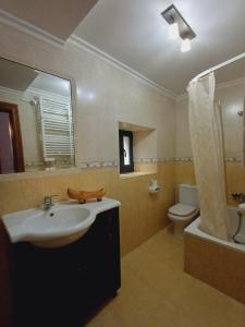 a bathroom with a sink and a toilet at El Portal del Abuelo in Arenas de Cabrales