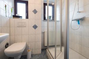 a bathroom with a toilet and a shower at Buchhaus Vier - Mittelgeschoss in Kirchenlamitz +25 photos