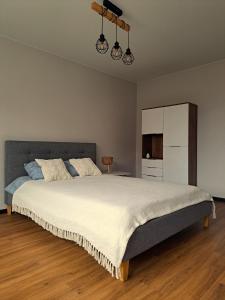 a bedroom with a large bed and a kitchen at Teodora B. Apartament in Liepāja
