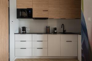 Kuchyň nebo kuchyňský kout v ubytování AVAPARTS Apartament FAMILY
