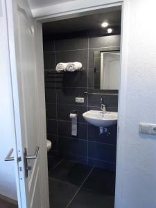ein Badezimmer mit einem Waschbecken, einem WC und einem Spiegel in der Unterkunft Pension Het Hoefijzer in Buren