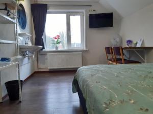 a bedroom with a bed and a sink and a window at Pension Het Hoefijzer in Buren