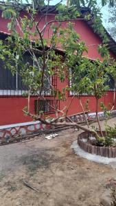 een boom voor een rood gebouw bij Butaliaji's House in Khopoli