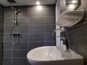 W łazience znajduje się umywalka i prysznic. w obiekcie Pension Het Hoefijzer w mieście Buren