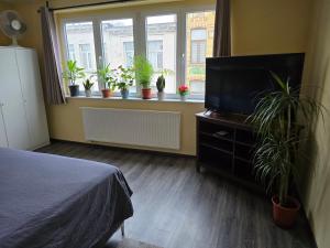 una camera da letto con piante in vaso e TV a schermo piatto di Right Choice Studio ad Anversa