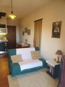 Casa Etnea في تريكاستانيي: غرفة معيشة مع أريكة ومطبخ