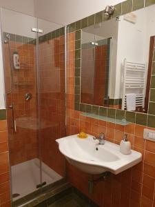 ein Bad mit einem Waschbecken und einer Dusche in der Unterkunft Casa Etnea in Trecastagni