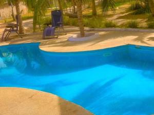 a blue swimming pool with two chairs and a tree at Fagapa Lodge in Guilor