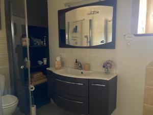 a bathroom with a sink and a mirror at La Grange in Blanzay +6 photos