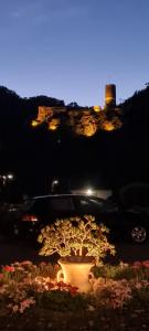 a car parked in a parking lot with a flower pot at Haus Zehnthof in Burgen