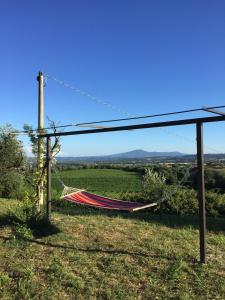 Priroda u blizini apartmana
