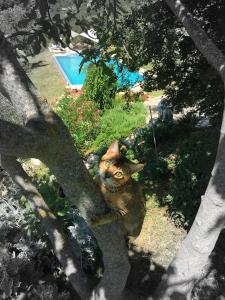 Bazen u ili blizu objekta Podere Macee Casavacanza