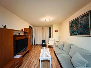 a living room with a blue couch and a tv at Bonito Apartamento en Ainsa in Aínsa