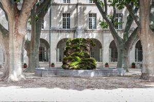 Giardino di Hôtel Cloitre Saint Louis Avignon