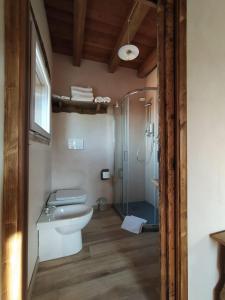 a bathroom with a toilet and a glass shower at La Casa di LILLIA in Castelnovo neʼ Monti