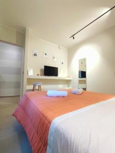 a bedroom with a large bed and a tv at Baccaro's home B&B in Brindisi