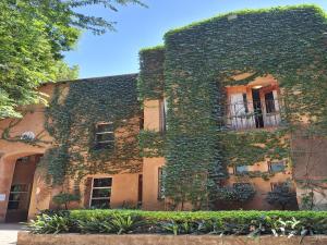 a building covered in ivy in front at Bosheuvel Country Estate in Muldersdrift