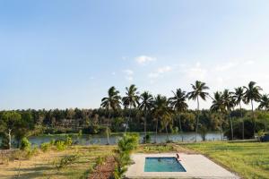 una piscina frente a un río con palmeras en Golden Triangle, en Hampāpura