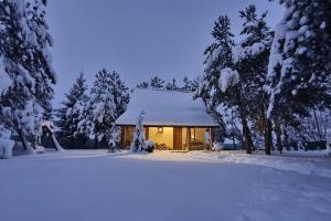 a house covered in snow with trees in the background at Całoroczny domek nad Jeziorem Piaseczno 