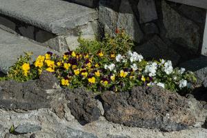 Zahrada ubytování B&B VESUVIAN STONE