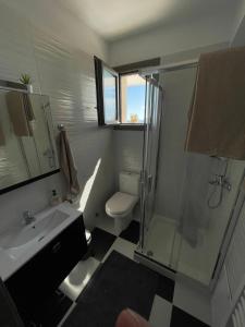 a bathroom with a shower and a toilet and a sink at Villa Buddha in Syvota +23 photos