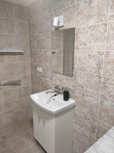 a bathroom with a white sink and a mirror at Klid in Budyně nad Ohří