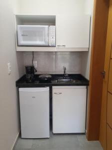 eine kleine Küche mit einer Spüle und einer Mikrowelle in der Unterkunft Suítes Flor do Maracujá 01 in Ponta Grossa