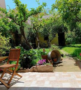 un jardin avec une chaise en bois et un tonneau dans l'établissement Domo Janas GuestHouse, à Olbia