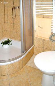Kúpeľňa v ubytovaní Apartments Rokytka 112 a 208