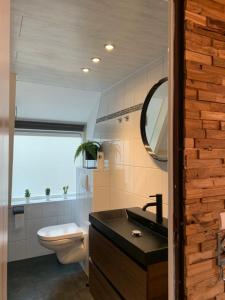 a bathroom with a sink and a toilet and a mirror at Chalet la Catrina - Bungalow 41, Sunclass Durbuy in Durbuy