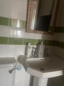 uma casa de banho com um lavatório, um espelho e um WC. em The Steam Packet em Littlehampton