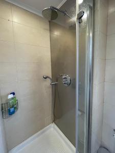een badkamer met een douche en een glazen deur bij Apartamento con gran terraza y vistas a la catedral. in Burgos