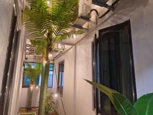 Kota Bharu的住宿－Salaam Suites Hotel，房子走廊上的棕榈树