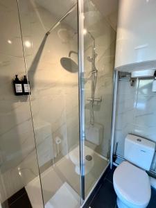 a bathroom with a shower and a toilet at L’Oliveraie in Lille