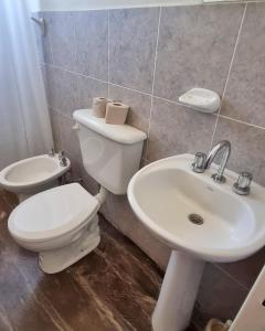 La salle de bains est pourvue de toilettes et d'un lavabo. dans l'établissement COMPLEJO TURISTICO RIOJA, à La Rioja