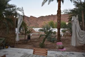 a resort with palm trees and a mountain in the background at منتجع ريف خزيمة - الصباح in Al Madinah