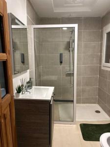 een badkamer met een douche en een wastafel bij Luxe 3 Ch.Apt Porto Novo,Abgokou in Porto-Novo