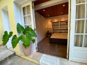 a bedroom with a bed and a potted plant at Casa São Conrado in Rio de Janeiro