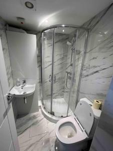 a bathroom with a shower and a toilet and a sink at Stunning 3BR Maisonette in Brixton in London