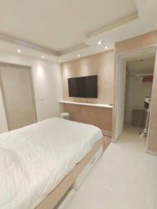 a bedroom with a bed and a flat screen tv at Superbe cocon en bord du lac in Publier