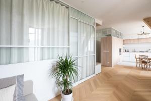 eine Küche und ein Wohnzimmer mit einer Topfpflanze in der Unterkunft Les Suites du Bernascon - Appartement 4 étoiles in Aix-les-Bains