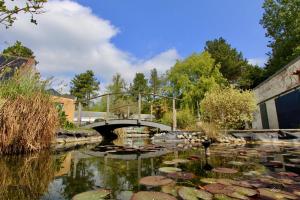 eine Brücke über einen Teich mit Seerosenblättern in der Unterkunft EPICETOUT in Dannes