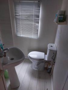 ein Badezimmer mit einem weißen WC und einem Waschbecken in der Unterkunft Penzion Tomy1 in Horní Planá